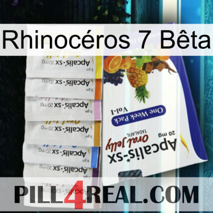 Rhinocéros 7 Bêta 11